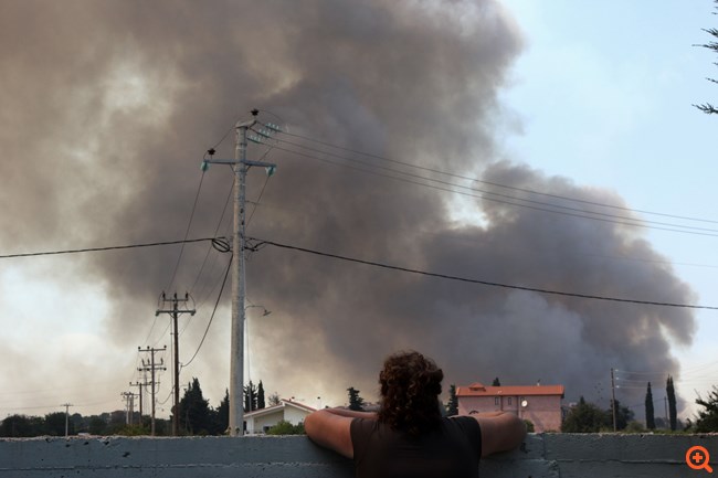 Πολυδένδρι