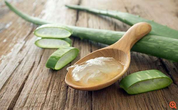 Είναι η αλόη η νέα μόδα για την προστασία της υγείας;