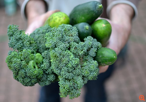 Βρέθηκε το ένζυμο της νεότητας;