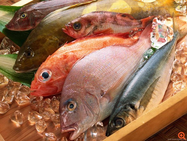 Ναι στο ψάρι, αλλά τι να προσέξουμε;