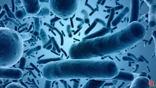 Εκτός από το άρωμά μας, αφήνουμε και μικρόβια πίσω μας