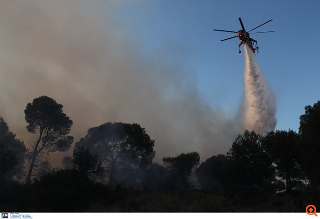 Ανεξέλεγκτη η φωτιά στις Κεχριές Κορινθίας: Εκκενώθηκαν οικισμοί - Πολλές διάσπαρτες εστίες