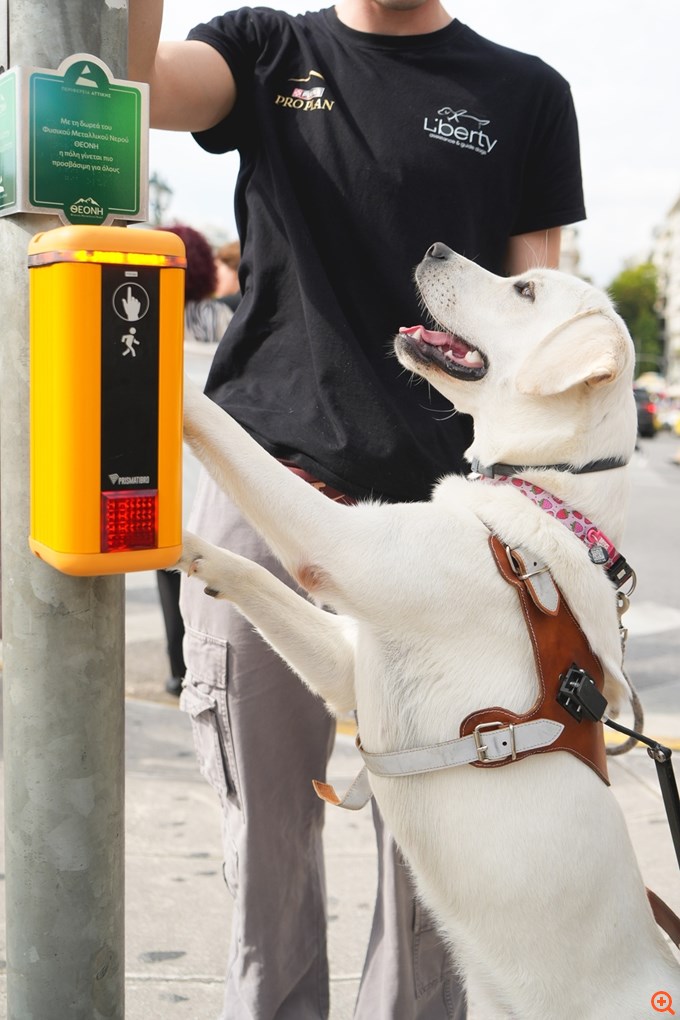 Η ΘΕΟΝΗ ανάβει "πράσινο" στην προσβασιμότητα και την ισότητα