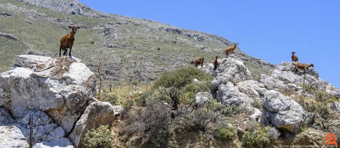 Η πολιτική ελίτ της Ελλάδας στο επίκεντρο της κριτικής.
