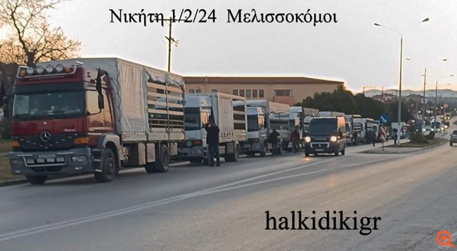 Χαλκιδική: Φρένο στις ελληνοποιήσεις και στήριξη για μείωση κόστους παραγωγής, ζητούν οι κινητοποιούμενοι μελισσοκόμοι του νομού