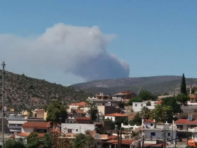 Σε εξέλιξη μεγάλη φωτιά στα Ψαχνά Ευβοίας - Εκκενώνονται οικισμοί