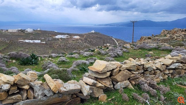 Σφυρί για το πλοίο "Πρωτεύς" και "καταιγίδα" πλειστηριασμών για οικογένεια Πατρώνη και "Έντεχνο"