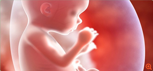 Κινέζοι ερευνητές τροποποίησαν γονίδια σε έμβρυα!