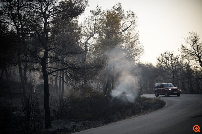 Εύβοια καμένα2