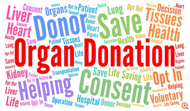 Δωρεά οργάνων: Δείτε τη μέσα από τα δικά τους μάτια