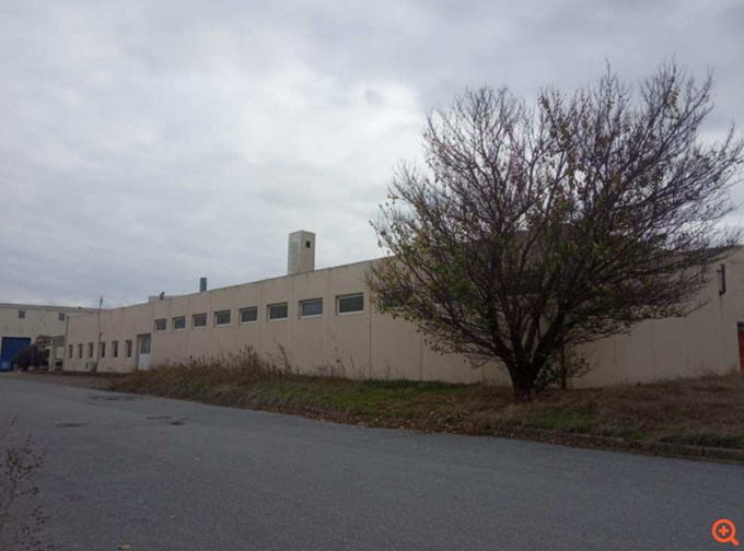 Πλειστηριασμοί: Τα νέα σφυριά για σούπερ μάρκετ Ατλάντικ, Αφοί Καρυπίδη και Καπνική Μιχαηλίδης