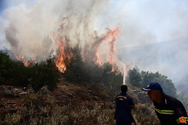 Δερβενοχώρια φωτιά