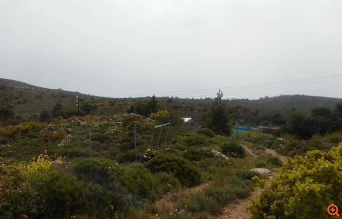 Όμιλος Κουρή 06/24