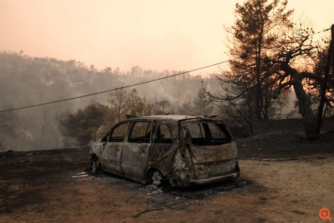 Εύβοια καμένα3