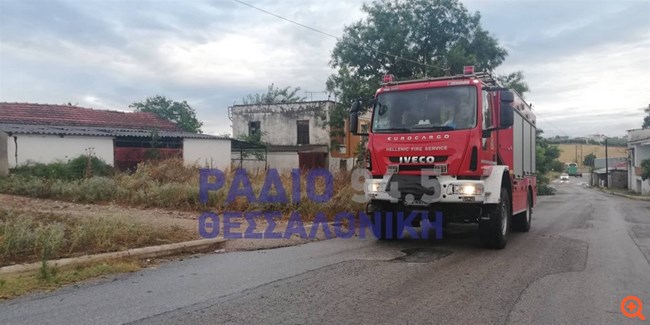 Χαλκιδική πυροσβεστική