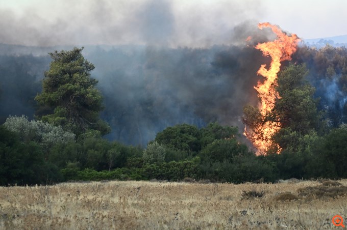 Πυρκαγιά στη Βορειοανατολική Αττική