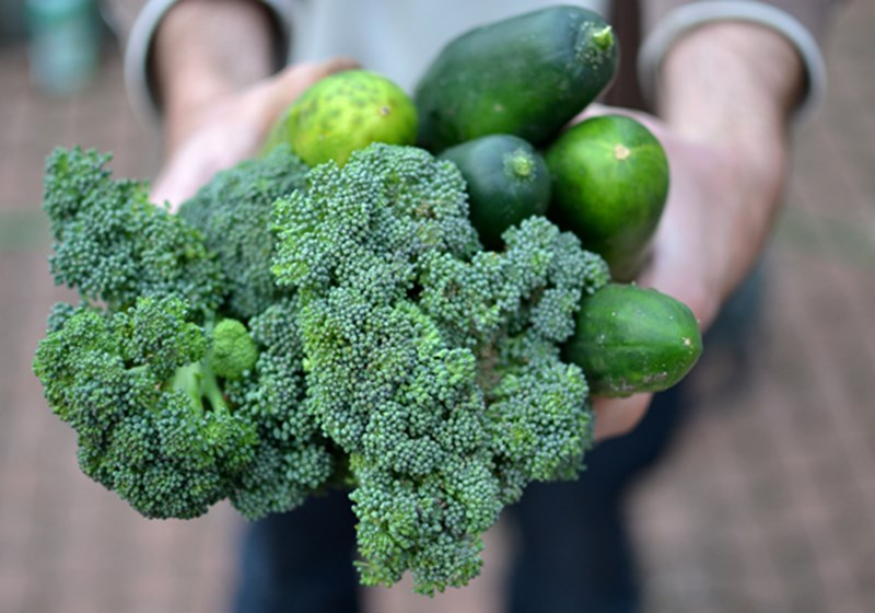 μπρόκολο 3/11/16