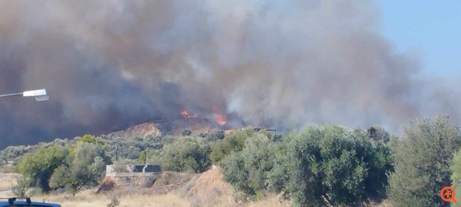 φωτια πυρκαγια Ελευσινα 08/2023