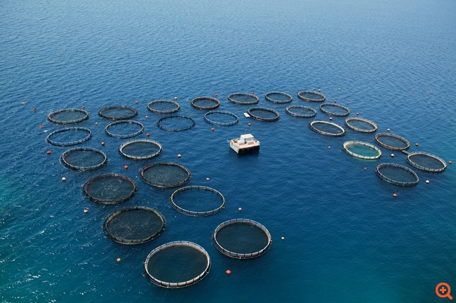 Οι κινήσεις των παλαιών μετόχων στον Νηρέα και τα ερωτήματα