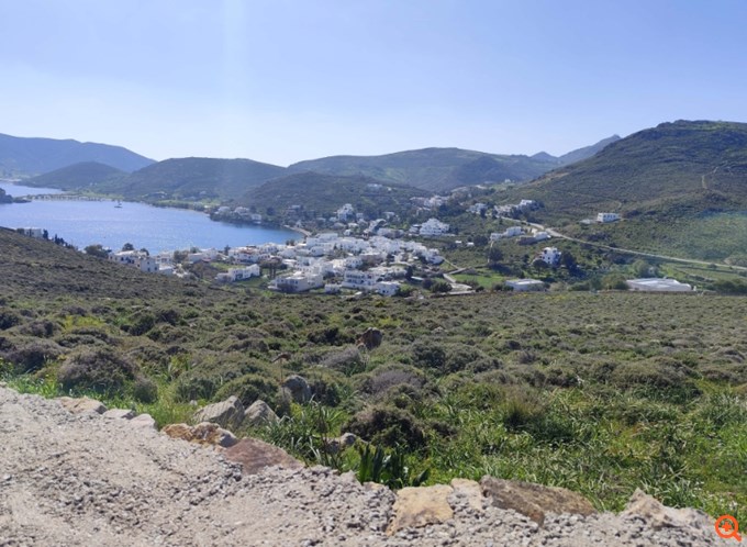 Toxotis_Patmos1