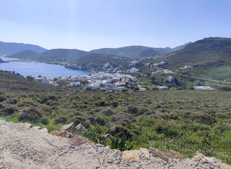 Toxotis_patmos