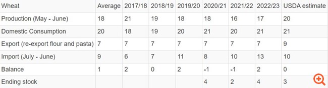 Από εισαγωγέας ρωσικών σιτηρών η Τουρκία γίνεται εξαγωγέας - Η αγορά γης στην Αφρική και το λαθρεμπόριο