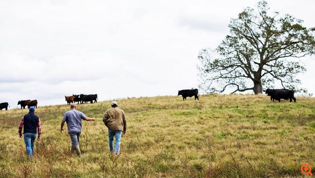 Πώς τρεις start-ups "ανθίζουν" εν μέσω της κρίσης του λιανικού εμπορίου λόγω κορονοϊού