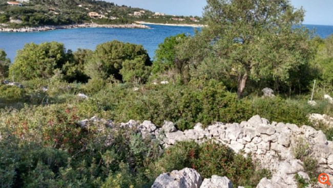 Βασίλης Γκρίσιν: Η άνοδος, η πτώση και η περιπέτεια με τους πλειστηριασμούς