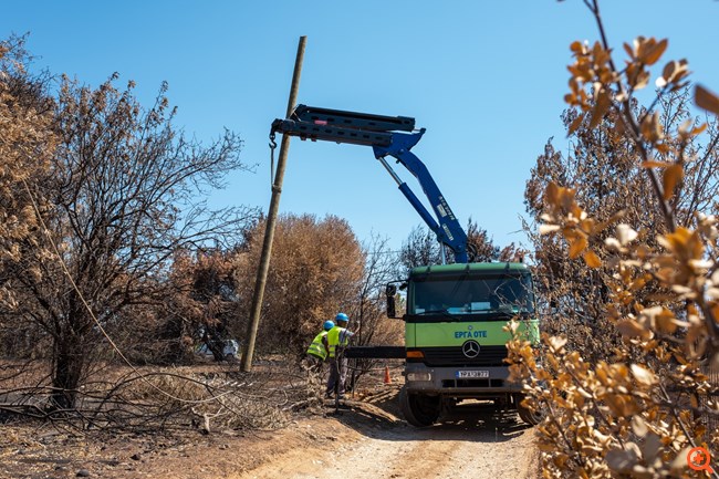 Όμιλος ΟΤΕ: Αποκαθίστανται σταδιακά τα δίκτυα στις πυρόπληκτες περιοχές