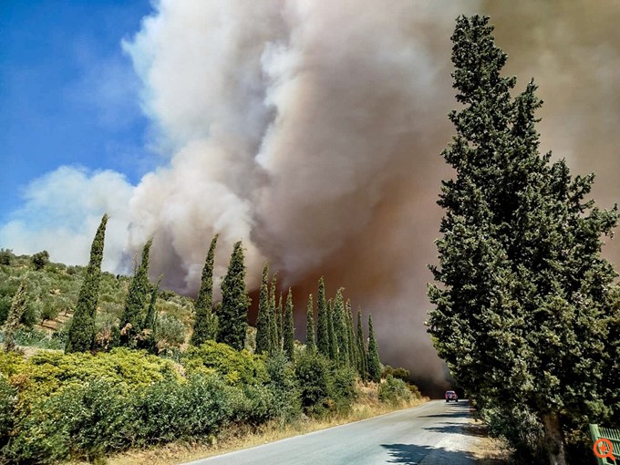 Ανεξέλεγκτη η φωτιά στις Πετριές Εύβοιας: Ολονύχτια μάχη με τις φλόγες