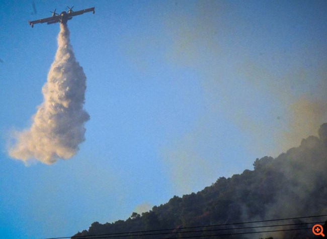 Î»Î¿ÏÏÏÎ¬ÎºÎ¹ ÎµÎ½Î±Î­ÏÎ¹Î±