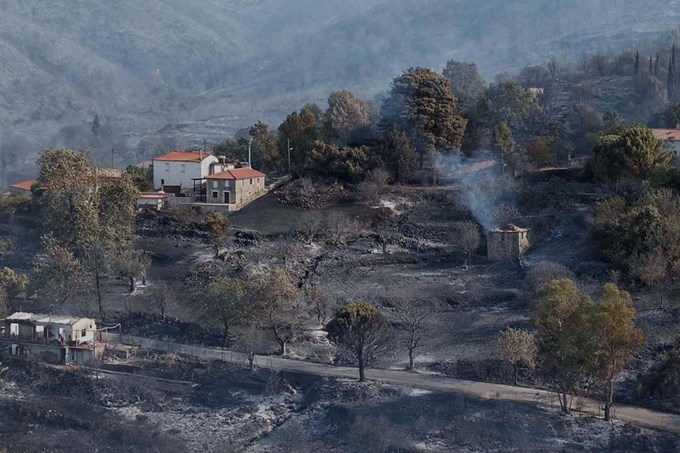 Φωτιές Μεσσηνία 7/25