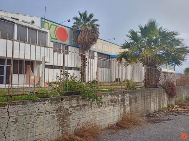 ΕΛΦΙΚΟ 10/2023