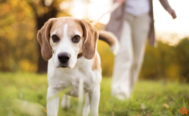 8 έρευνες δείχνουν πώς θα αποκτήσεις γρήγορα καλή διάθεση!
