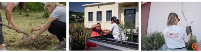 To φυσικό μεταλλικό νερό Βίκος τίμησε την Παγκόσμια Ημέρα Γης με την δεντροφύτευση 2.000 καρποφόρων δέντρων σε βόρεια Εύβοια & Μάνη