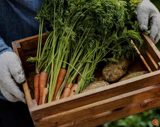 Το αντικαταθλιπτικό που βρίσκεται στο μπαλκόνι σας!