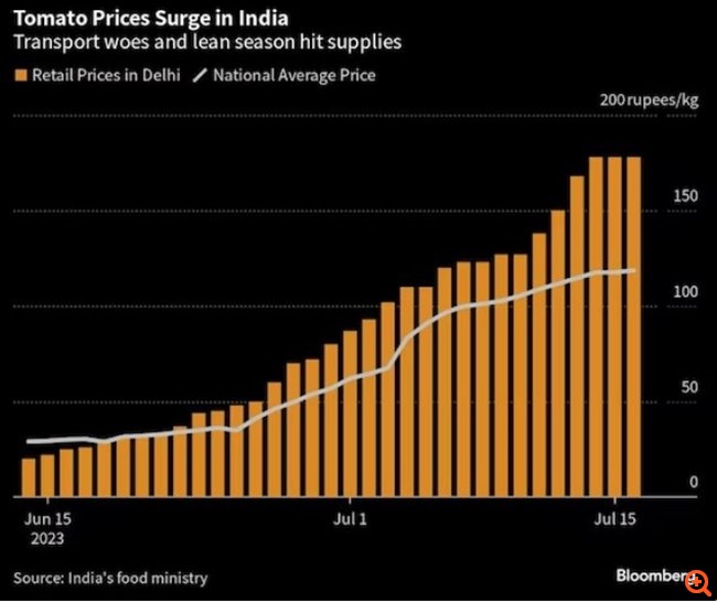 Ένα άλμα 700% στις τιμές της ντομάτας δημιουργεί απροσδόκητο κέρδος για ορισμένους Ινδούς αγρότες