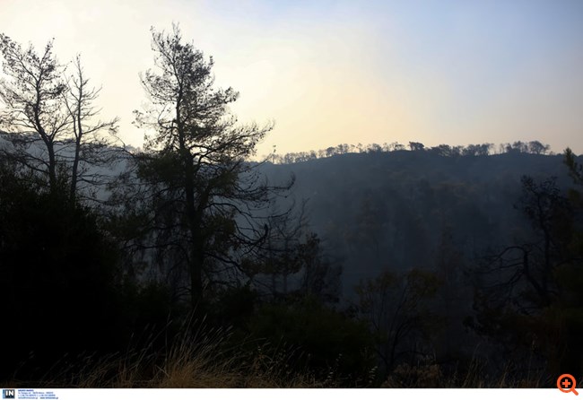 ÎÏανίοÏ
 ÏÏÏÎ¿Ï Î· ÎενÏÏική ÎÏβοια