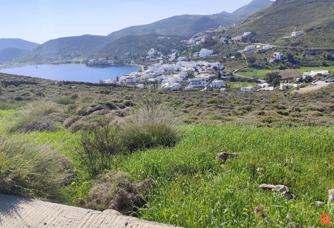 Πλειστηριασμοί: Οικογένεια Καλογρίτσα και ΕΛΦΙΚΟ ξανά στο "στόχαστρο"