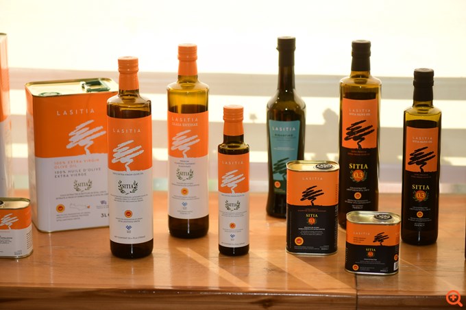 Καραμούζης-Αντωνόπουλος: Το στοίχημα των εξαγωγών ελαιόλαδου, η Mercosur και η επέκταση στις ελιές