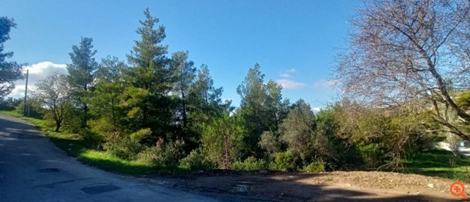 Πλειστηριασμοί Εβδομάδα 10/03
