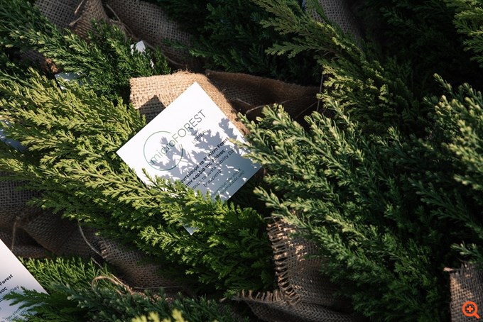 Το 1ο micro Forest στην καρδιά της Αθήνας από τη L'Oréal Hellas, είναι γεγονός