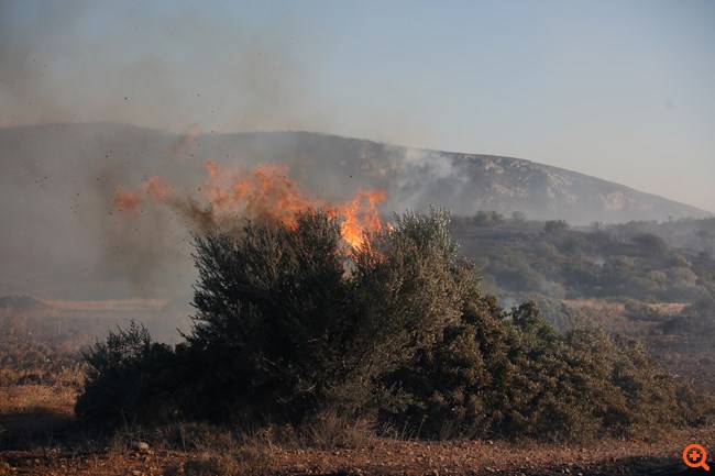 φωτιαΚΑΛΥΒΙΑ2