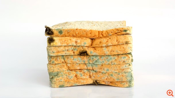 Μούχλιασε το φαγητό. Το πετάμε ή όχι;