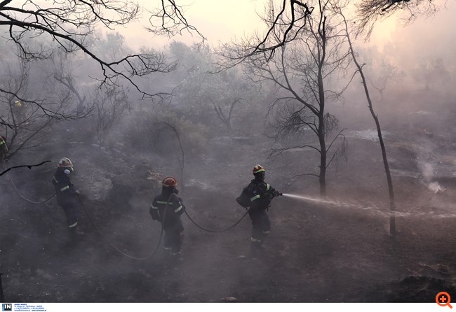 Πυρκαγιά Κεχριές