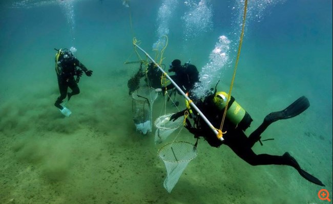 Το Μαξίμου έστειλε απινιδωτή σε Καλύμνιες αυτοδύτριες