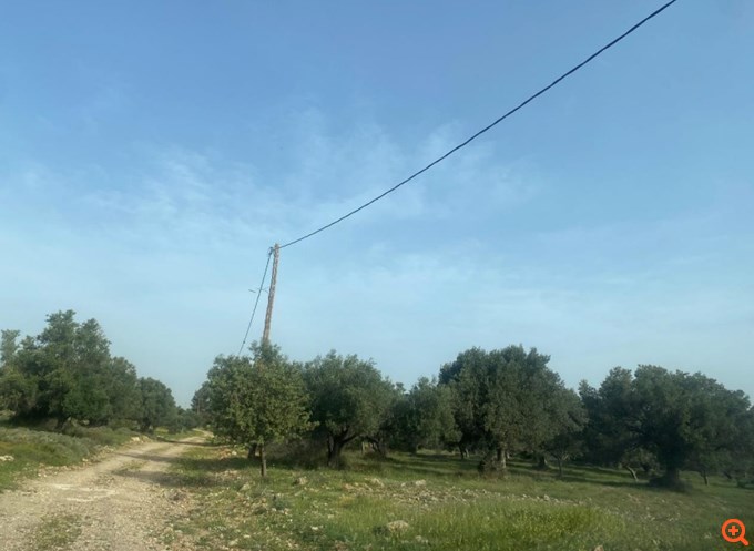 Πλειστηριασμοί: Νέο "σφυροκόπημα" για την οικογένεια Αγούδημου