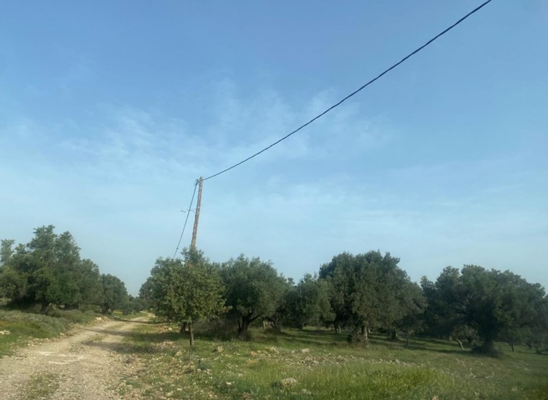 Πλειστηριαμοί Αγούδημος