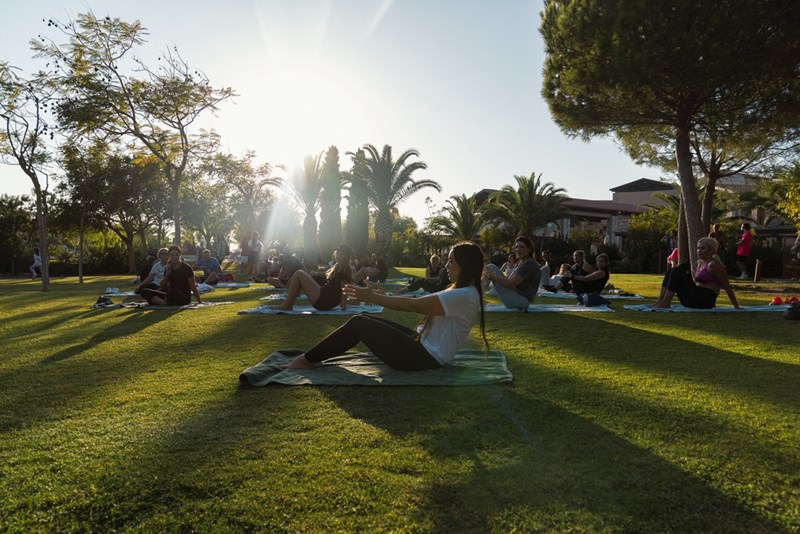 Navarino Challenge 2025