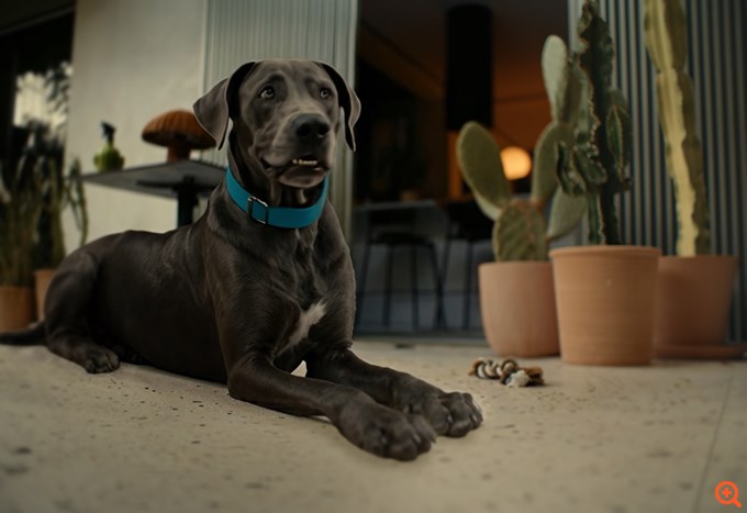 Το ημερολόγιο του Μπούμπη